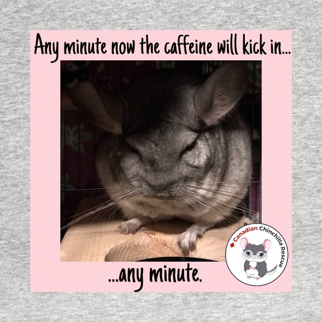 Chinchilla Thoughts by canchinrescue
